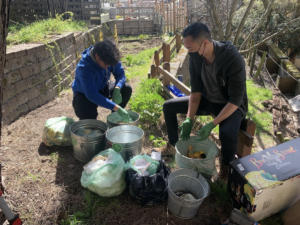 Two people kneel on a garden path, sorting food waste with gloved hands.