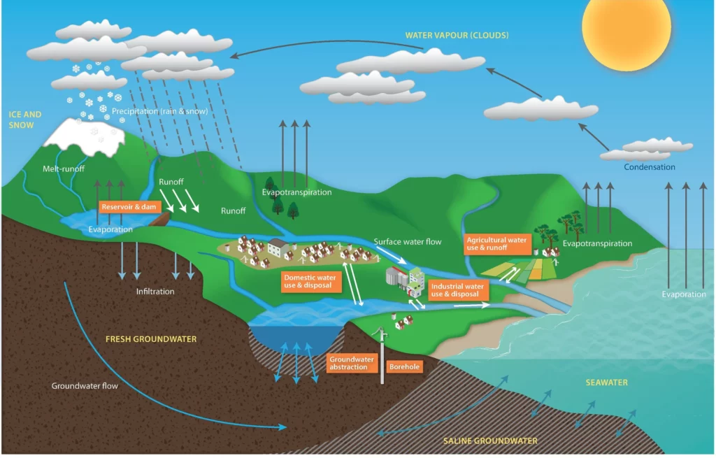 A diagram illustrating the water cycle from fresh groundwater to sea water to water vapor to ice and snow.